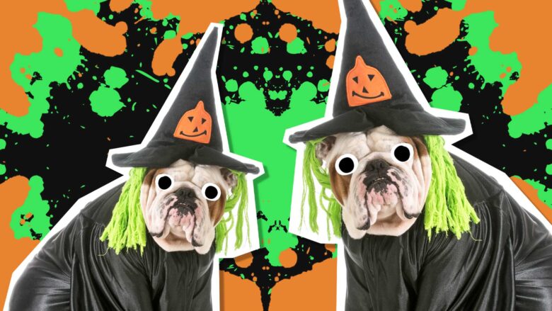 Two witches who are actually bulldogs