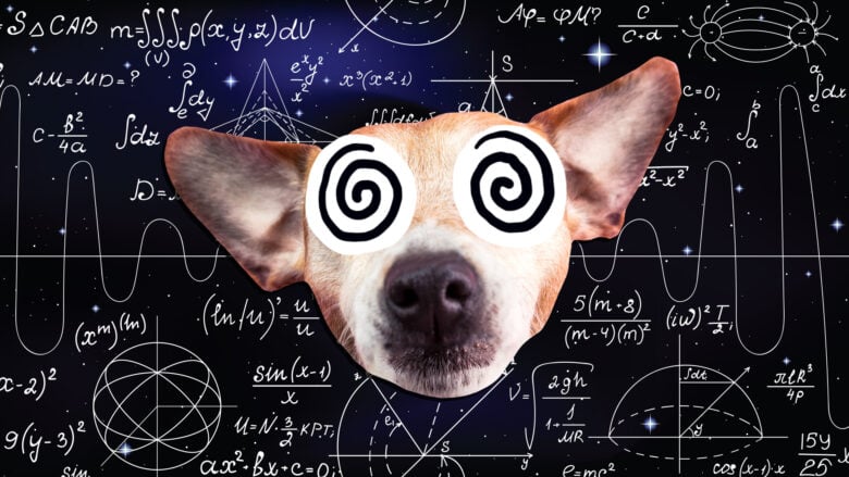 Maths dog