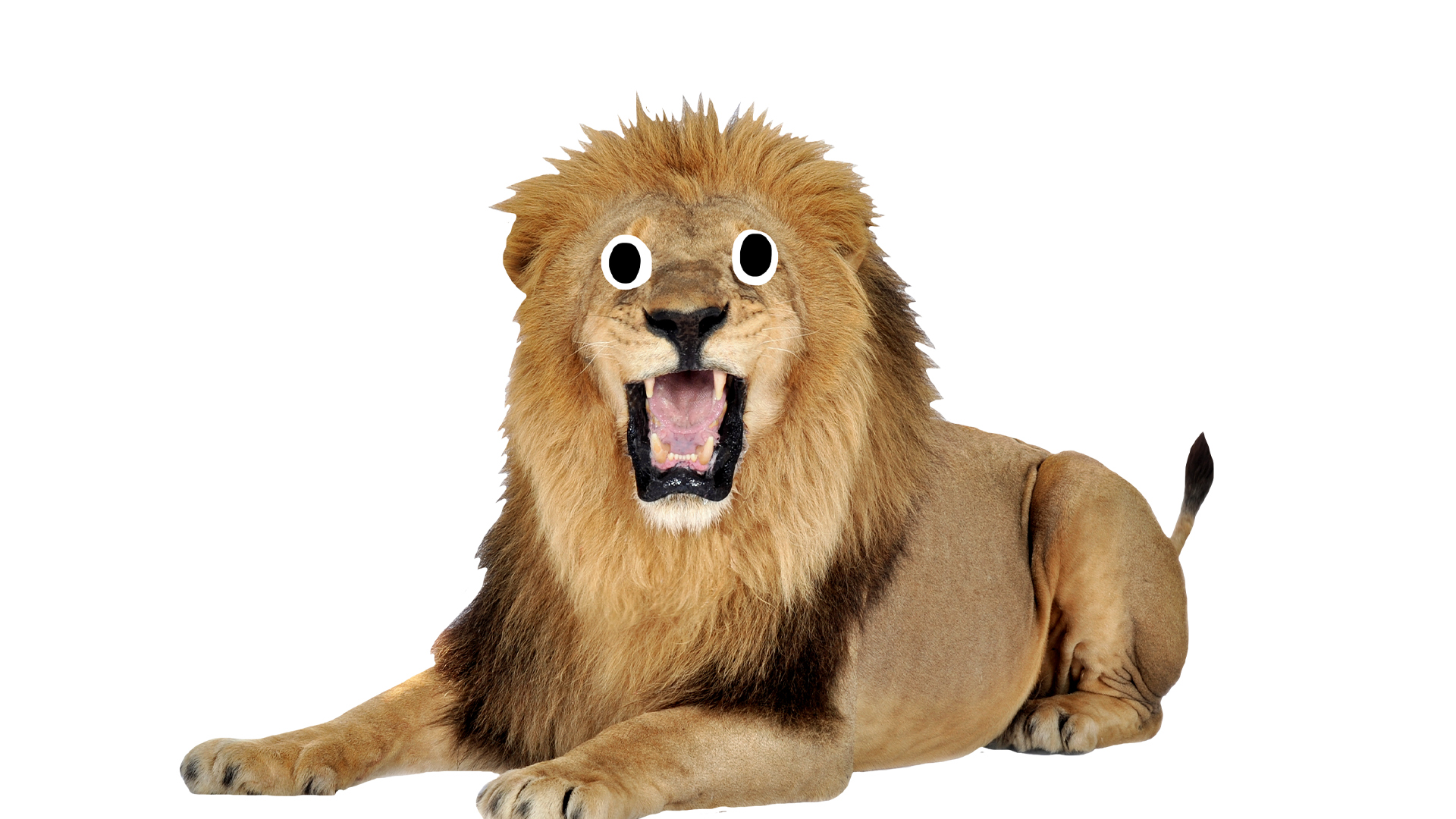 A roaring lion