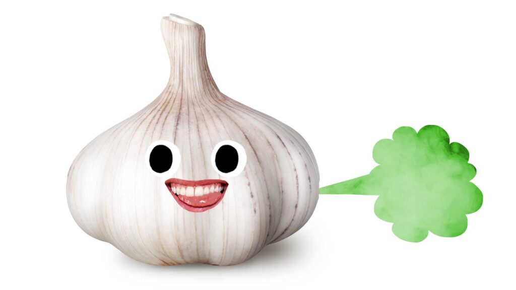 A bulb of garlic