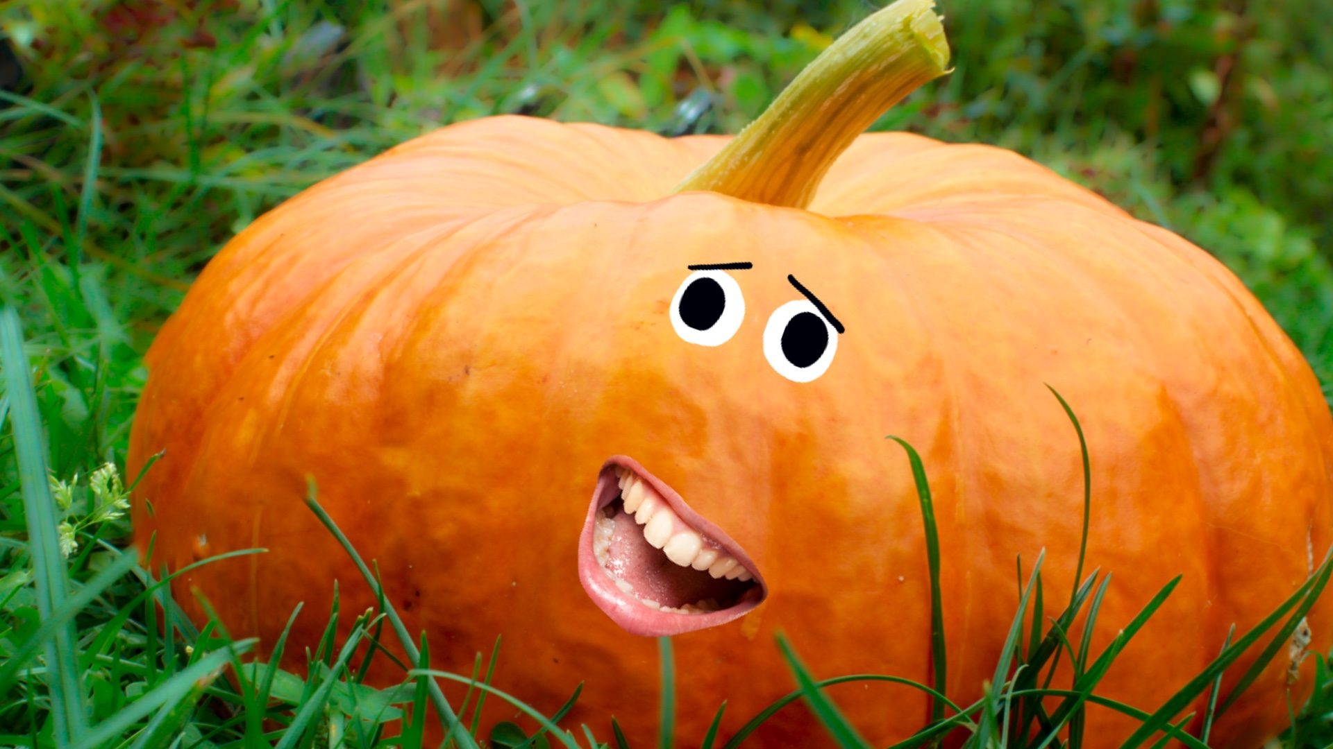 A big smiling pumpkin