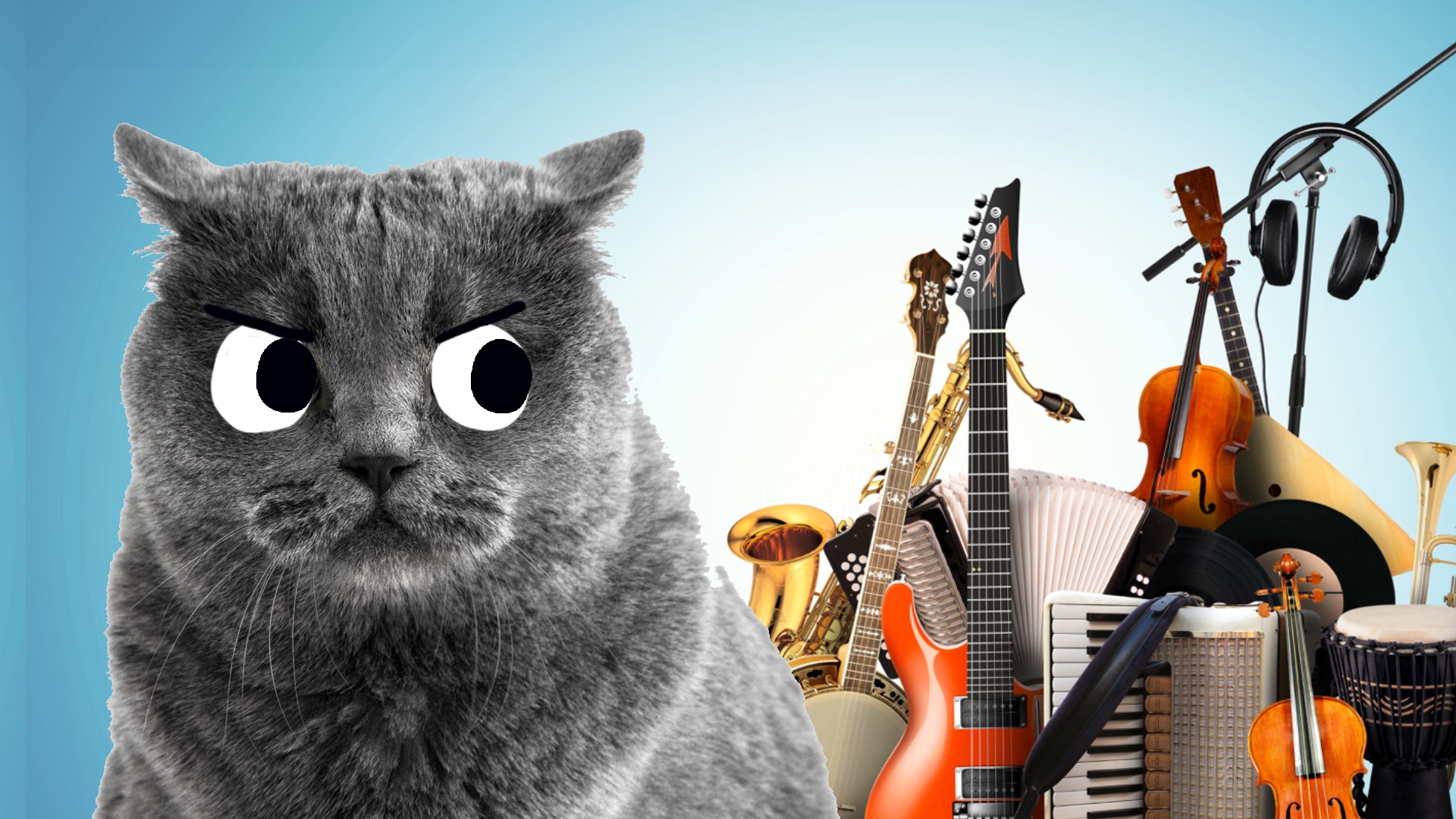 A cat glares at a selection of instruments