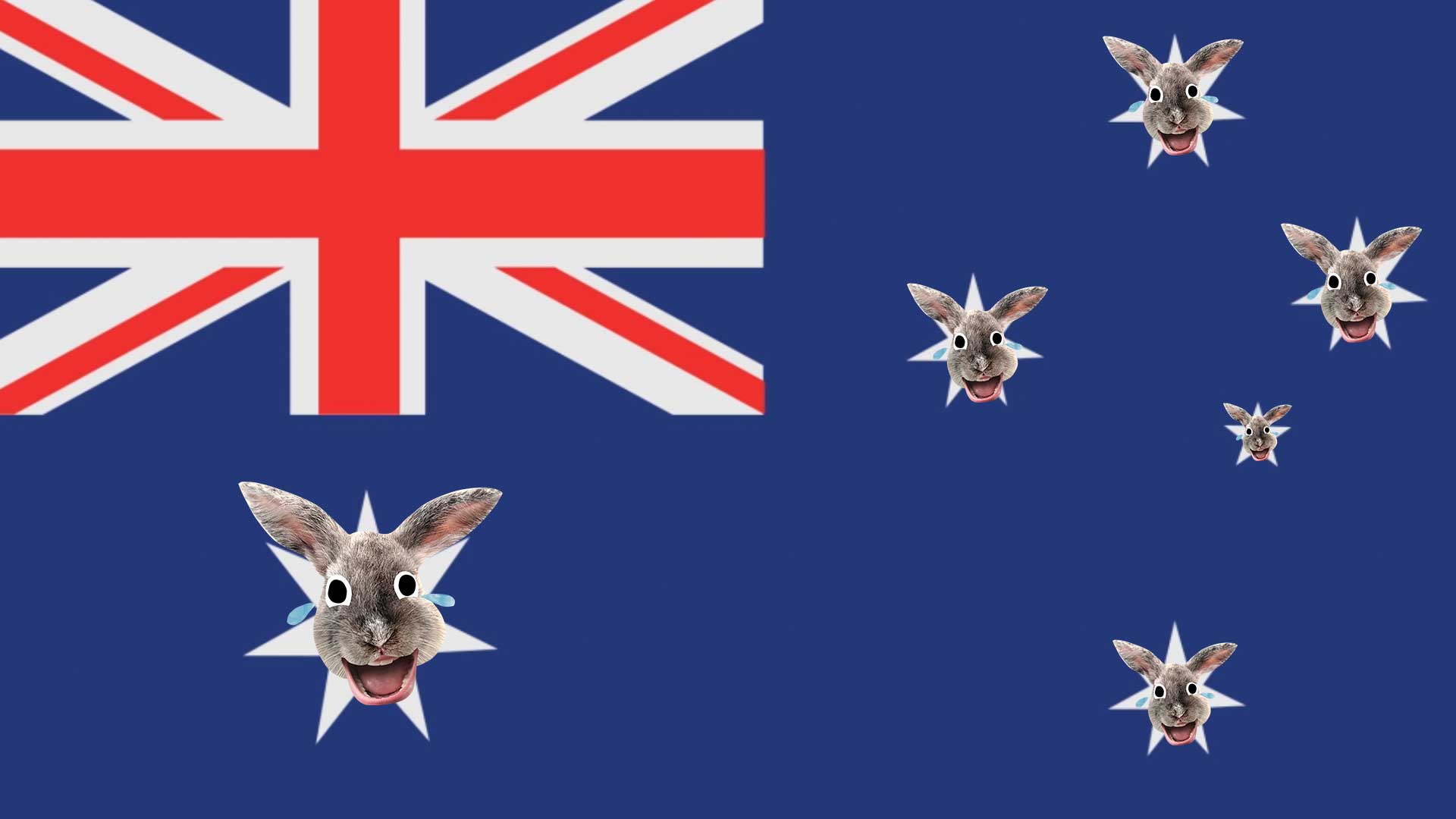 An Australian flag with lots of rabbits