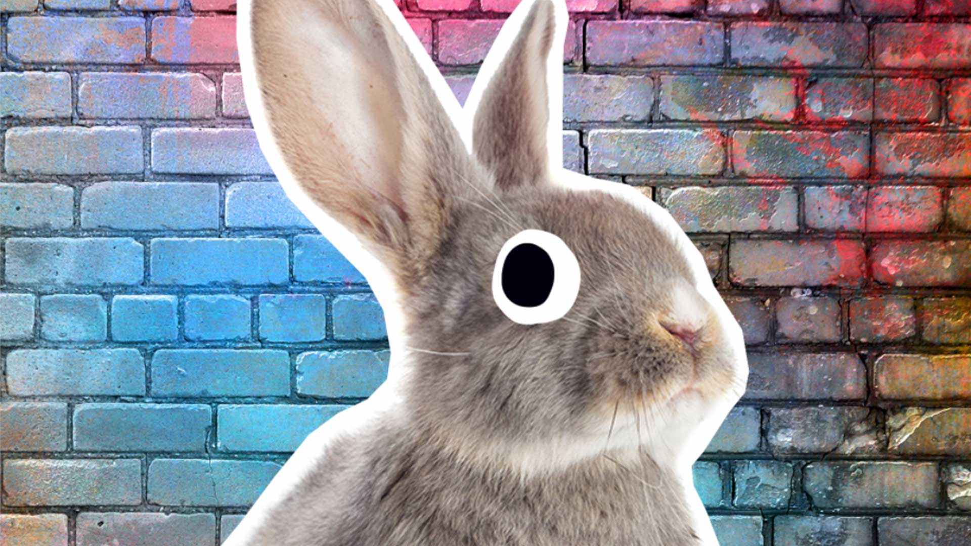 A rabbit with a colourful brick background 