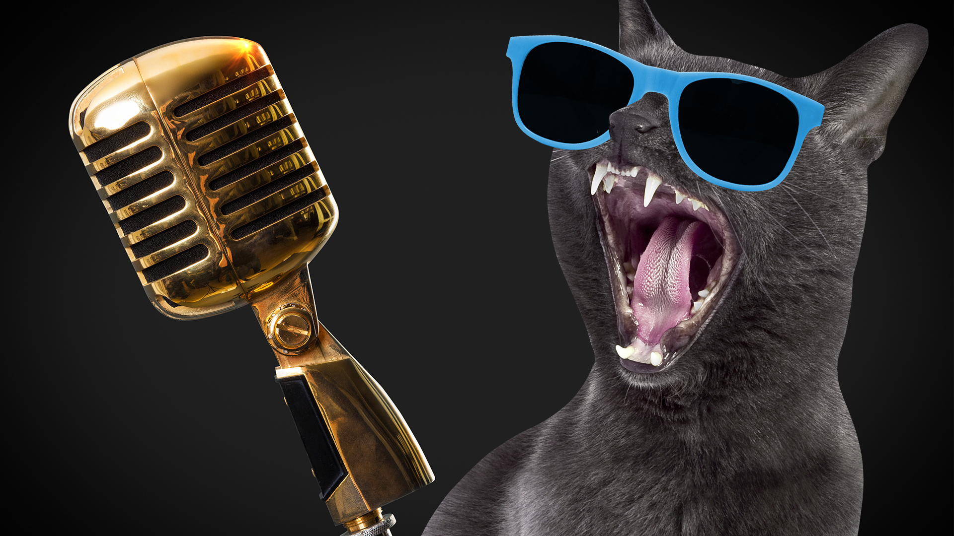 Cat screeching into mic
