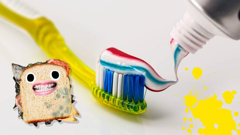 A rotten sandwich and a toothbrush