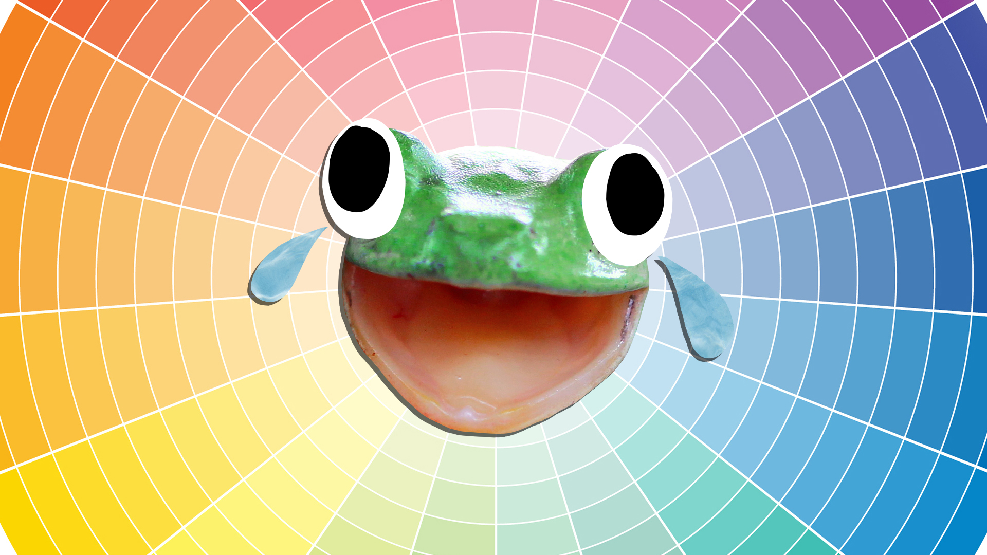 A frog choosing a colour