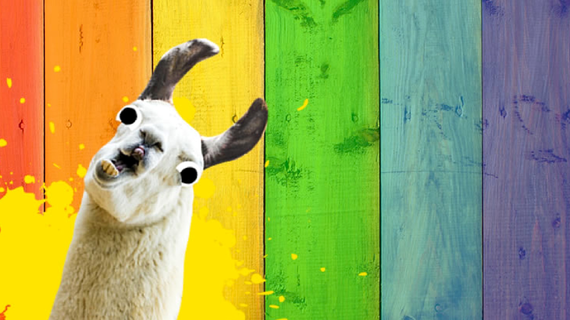 A llama in front of a rainbow coloured fence