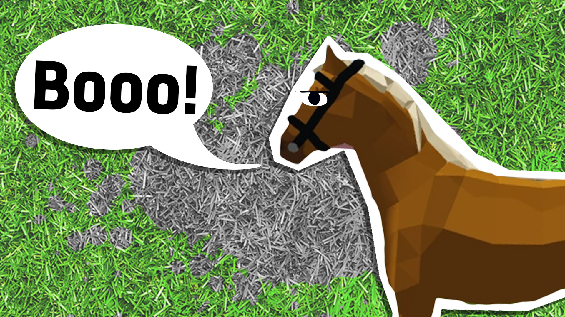 Roblox Horse Valley Quiz! | Beano.com