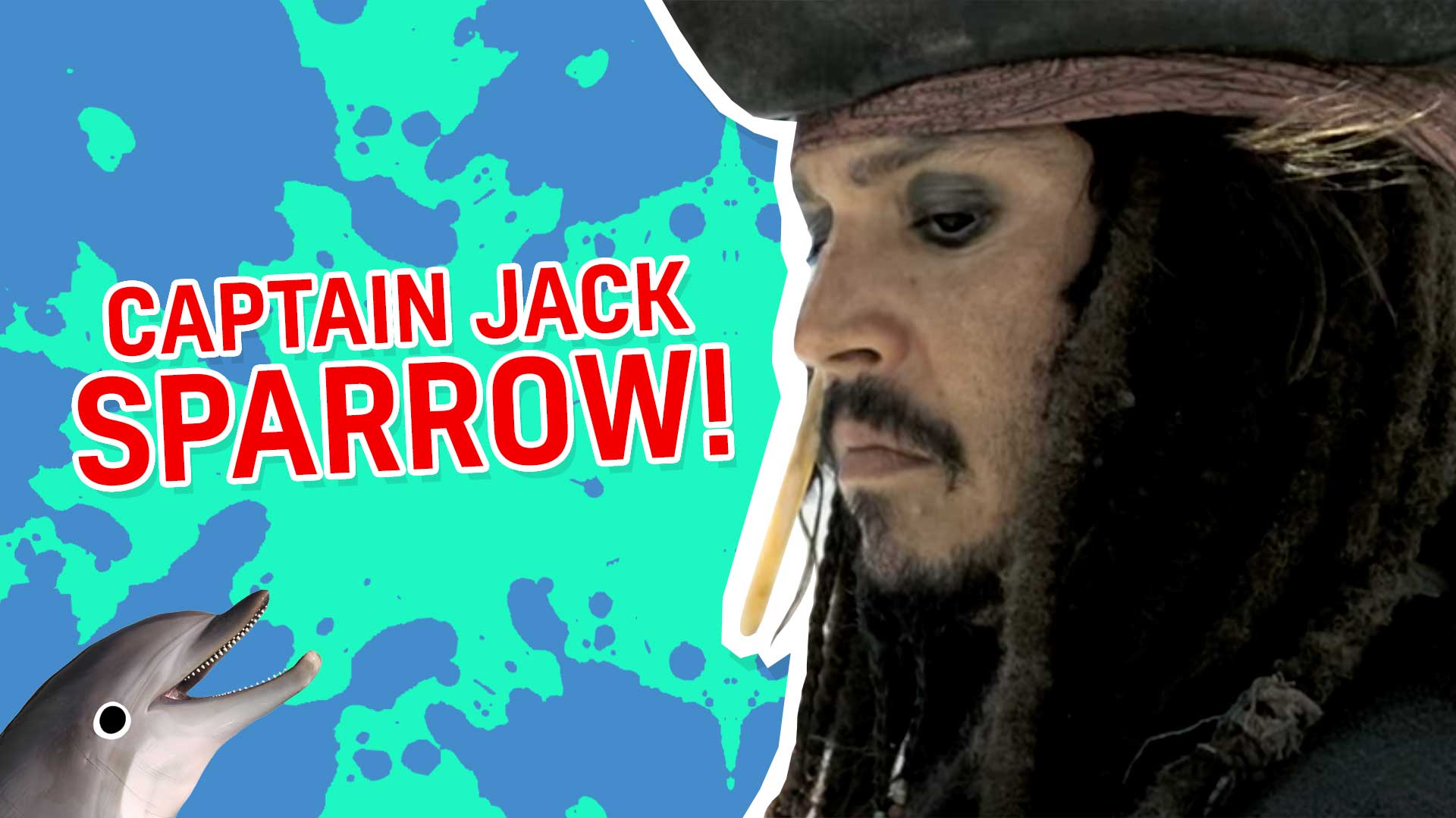 You are Captain Jack Sparrow!