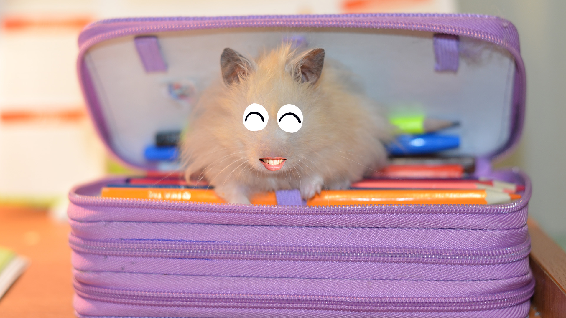 A hamster in a pencil case