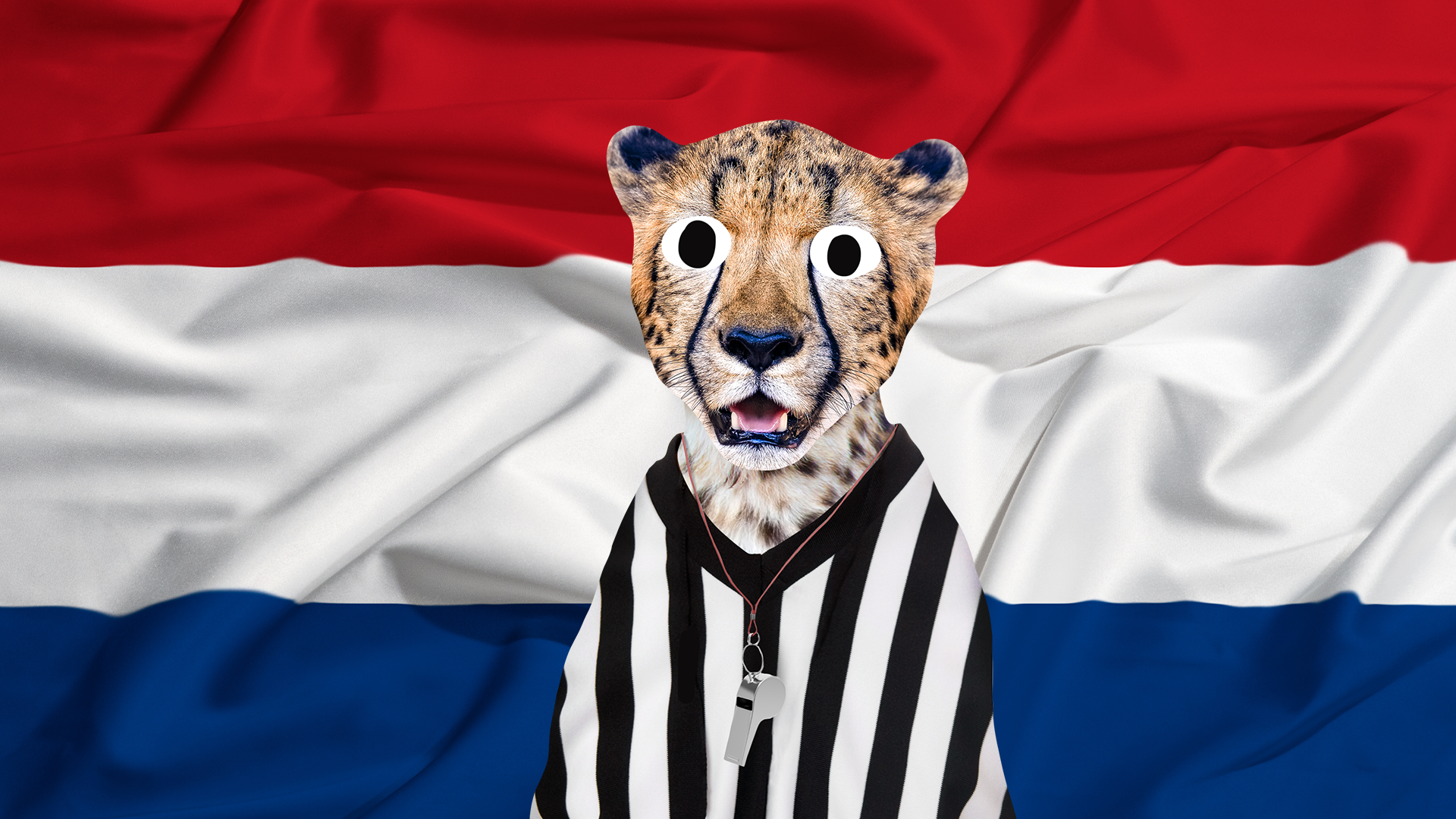 Ref cheetah in front of Dutch flag