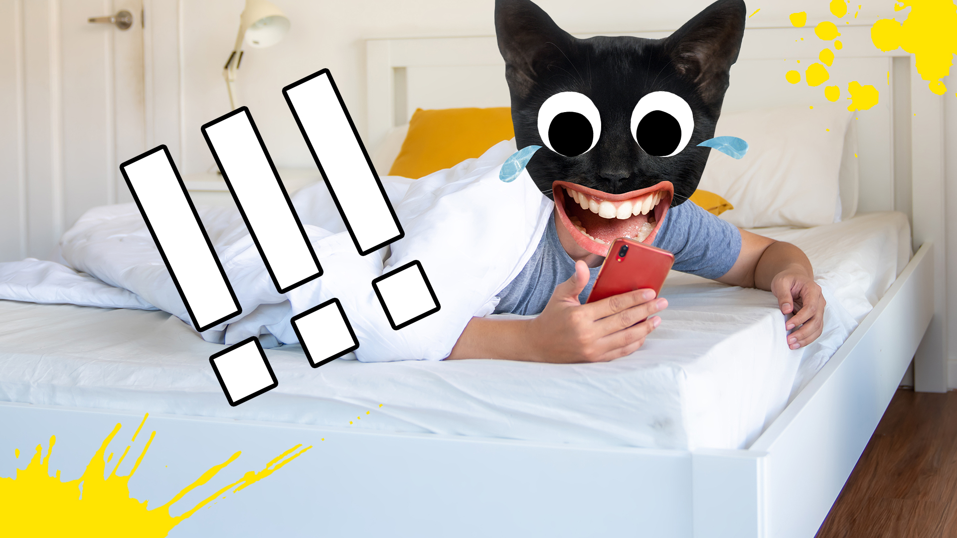 A cat is shocked by an alarm clock