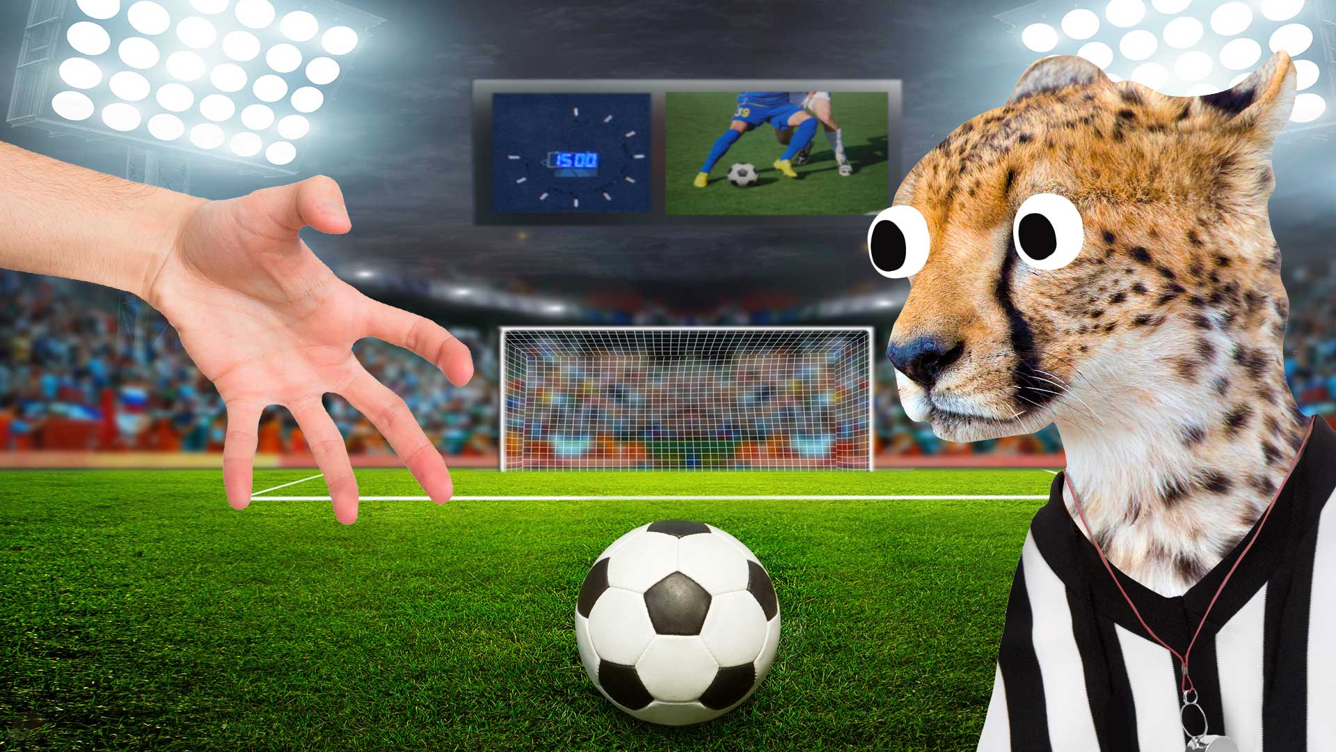 A football placed on the penalty spot while a cheetah dressed as a referee looks at an outstretched hand