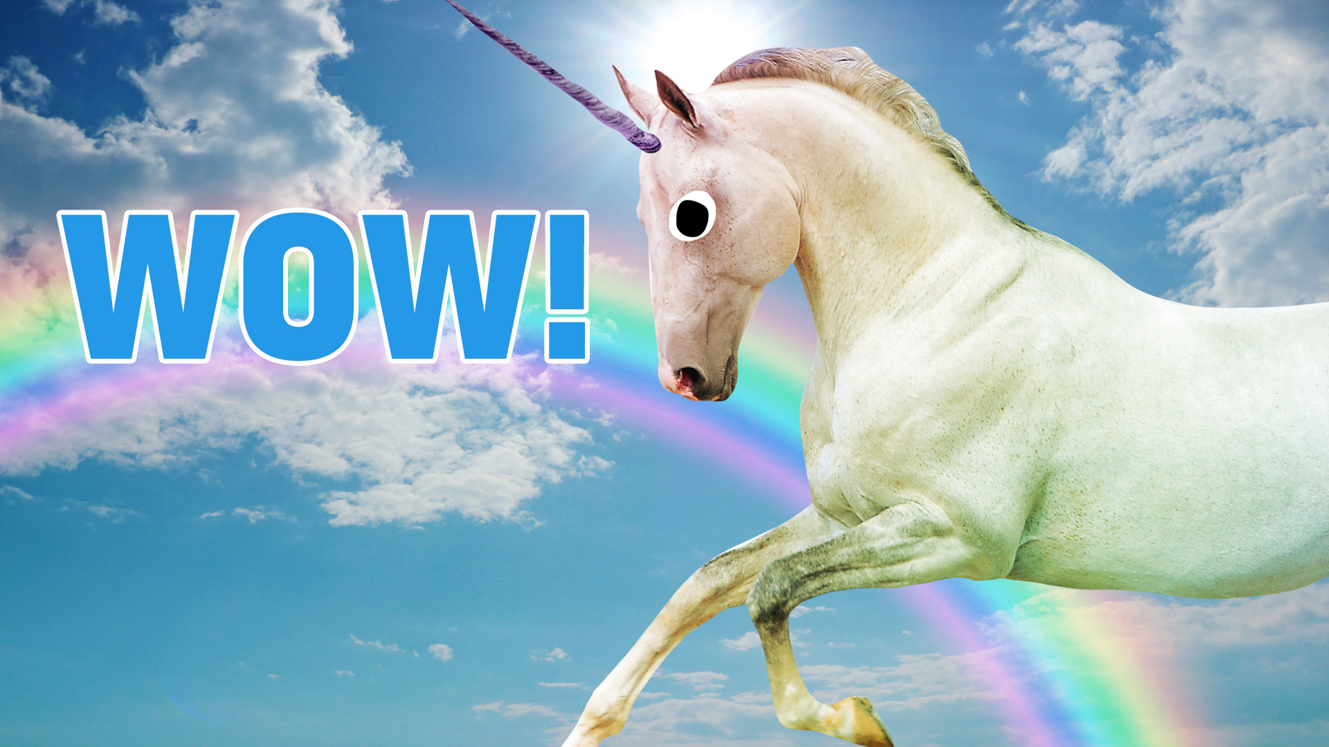 Incredible! You're officially the most knowledgeable Unicorn Academy reader in the world, because you got 100%! Congrats!