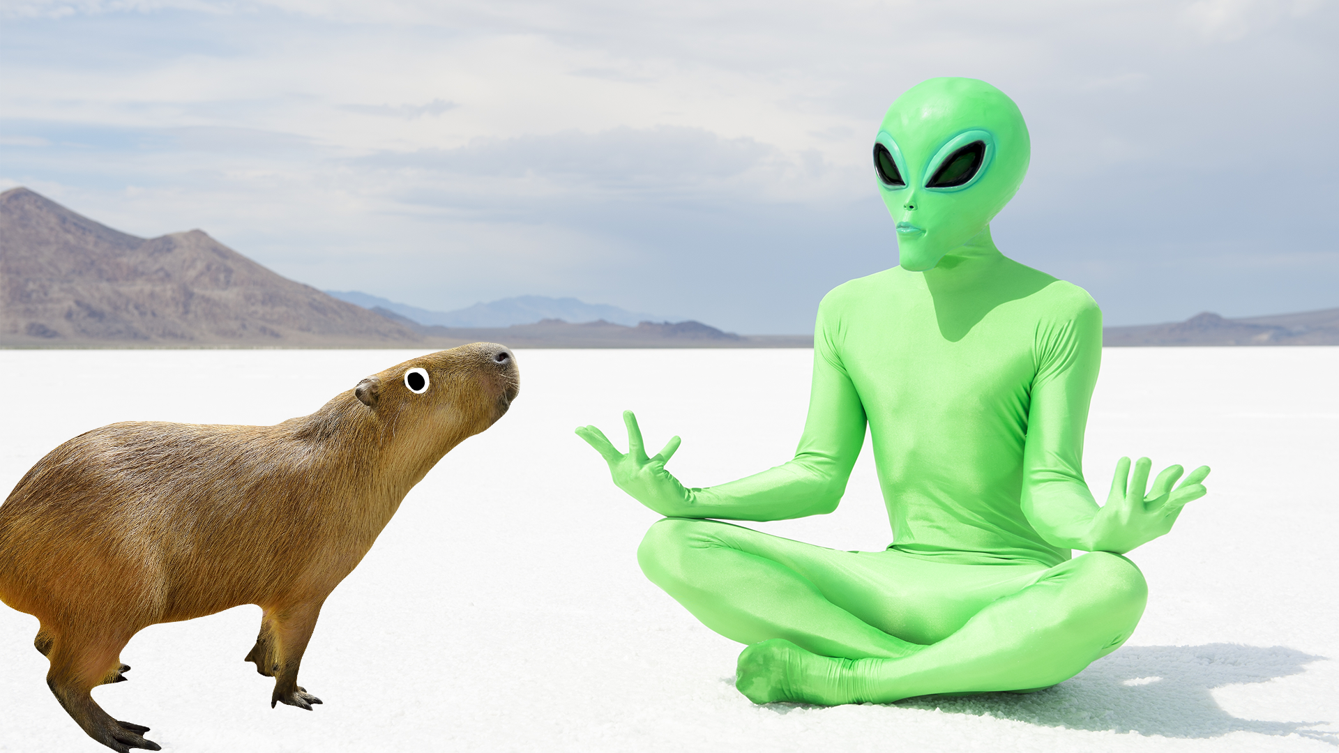 A capybara and an alien on a desert floor