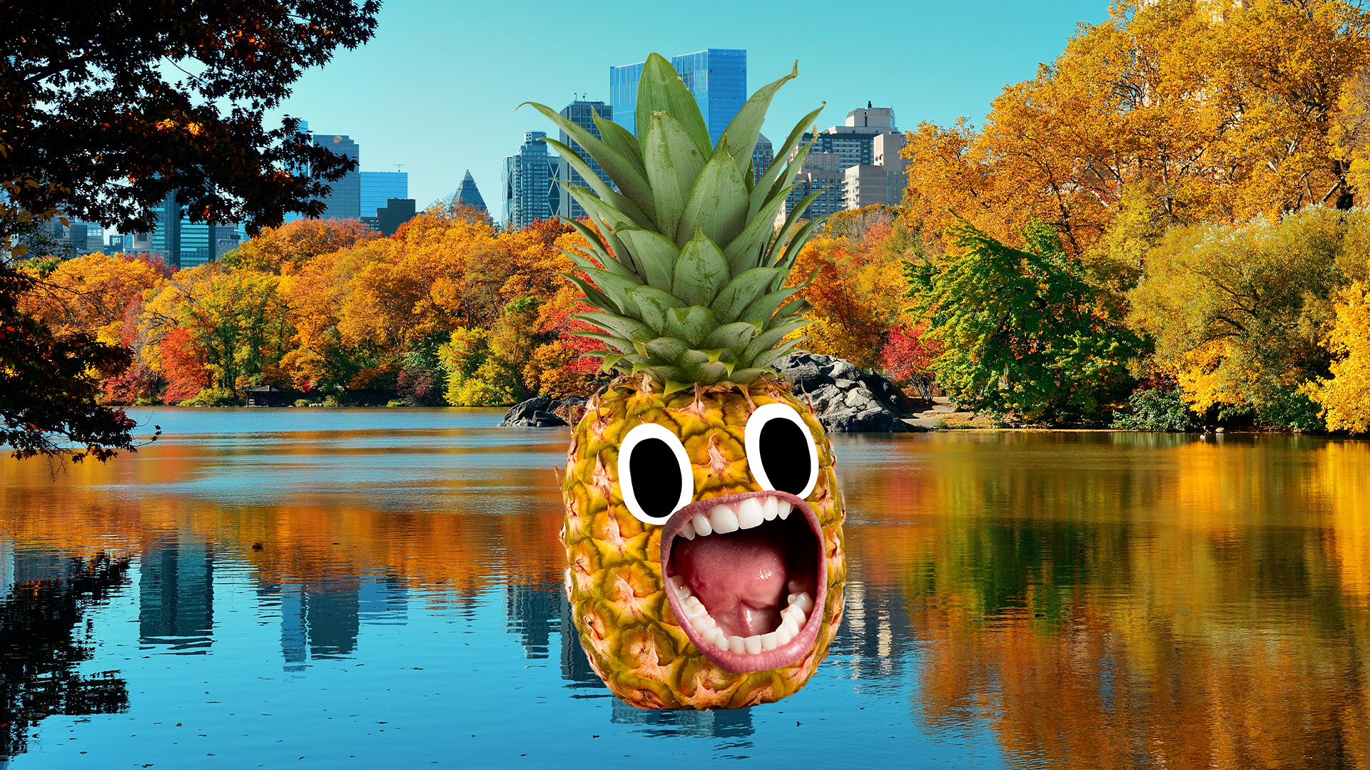 Screaming pineapple enjoying Central Park
