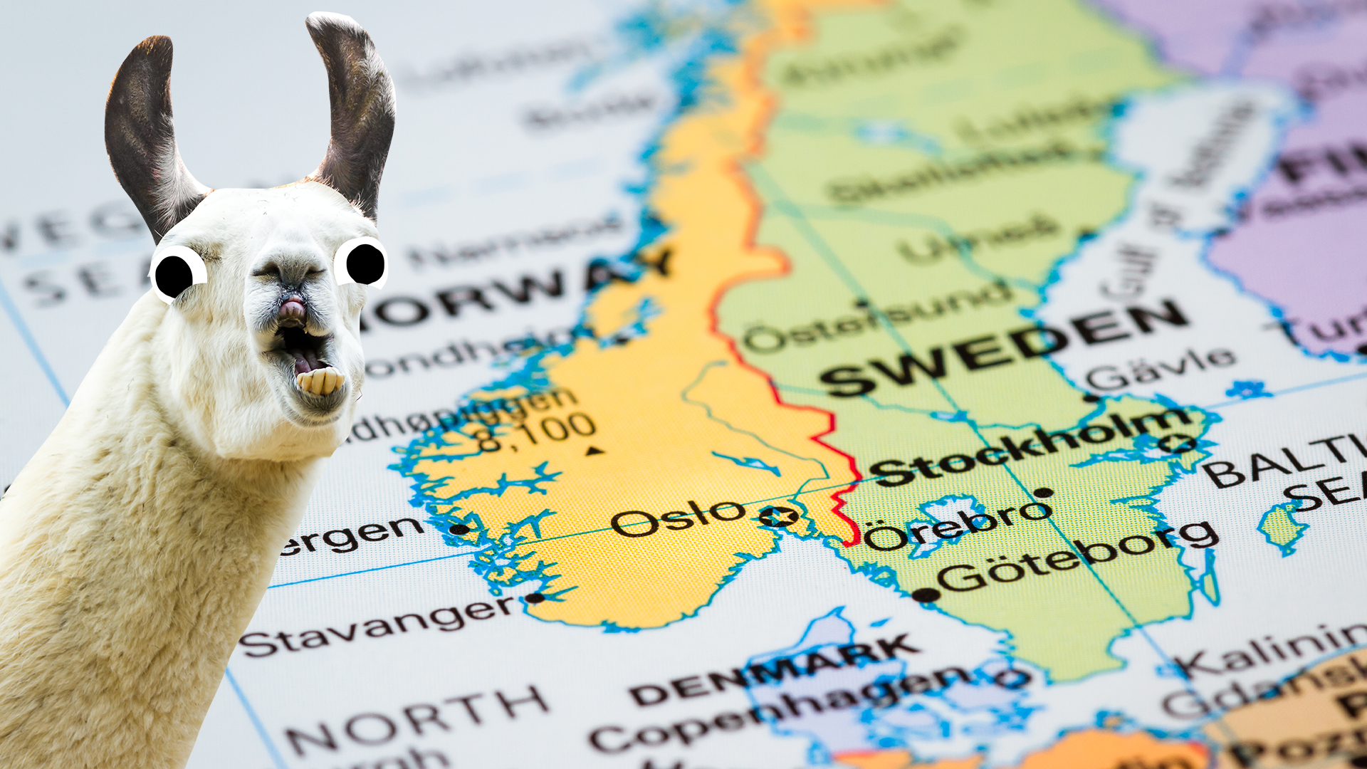 Map of Scandinavia and a derpy llama