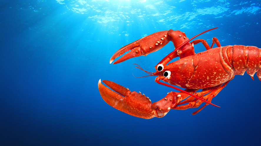 Beano lobster