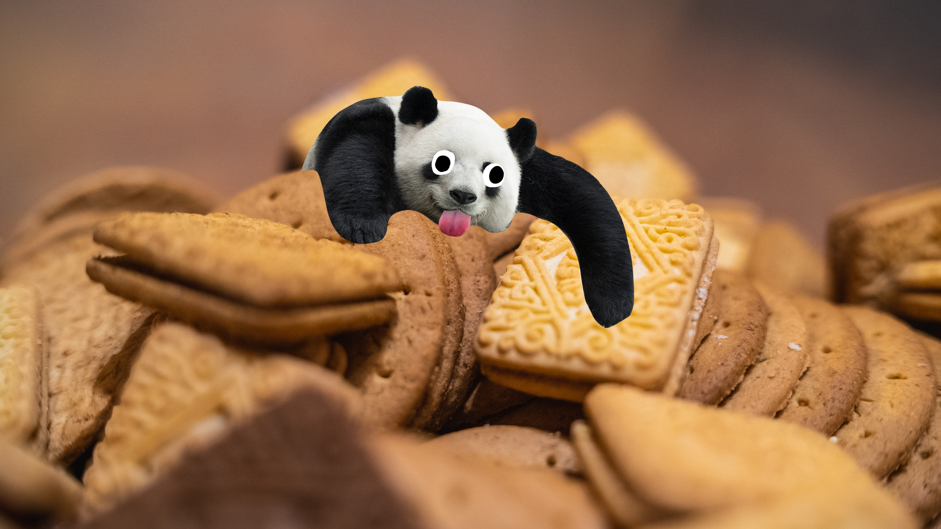 Pile of biscuits and derpy panda