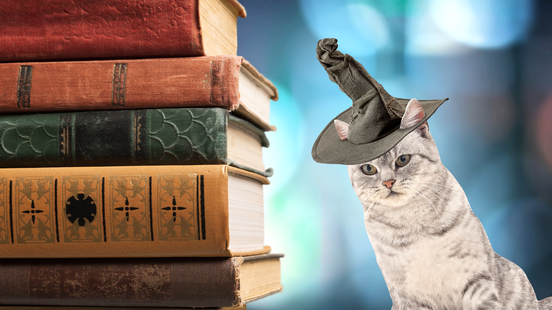McGonagall cat and a pile of books