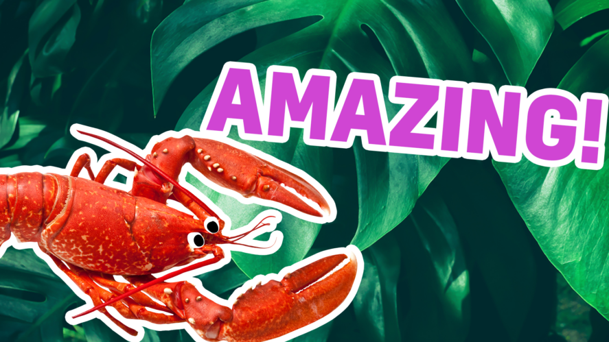 Incredible! You're officially the best Find the Animals player ever, because you got 100% on this quiz! 
