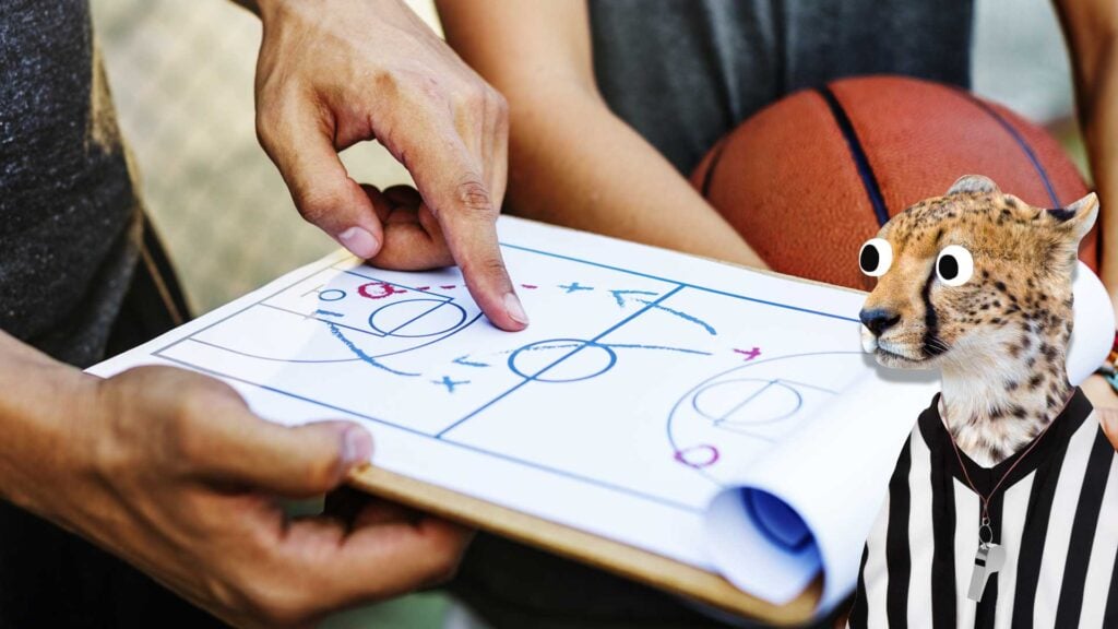 A cheetah in a referee outfit looks at a clipboard with basketball tactics drawn on