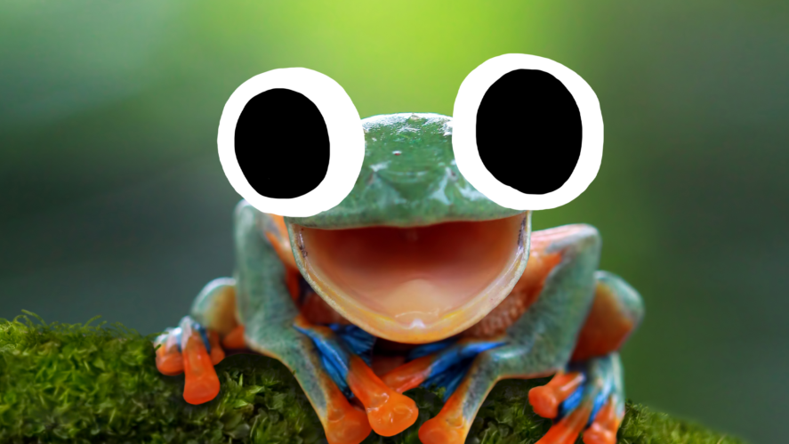 Goofy lil frog