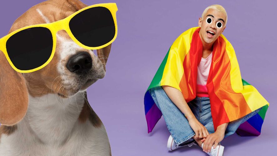 A man wrapped in a pride flag with a dog