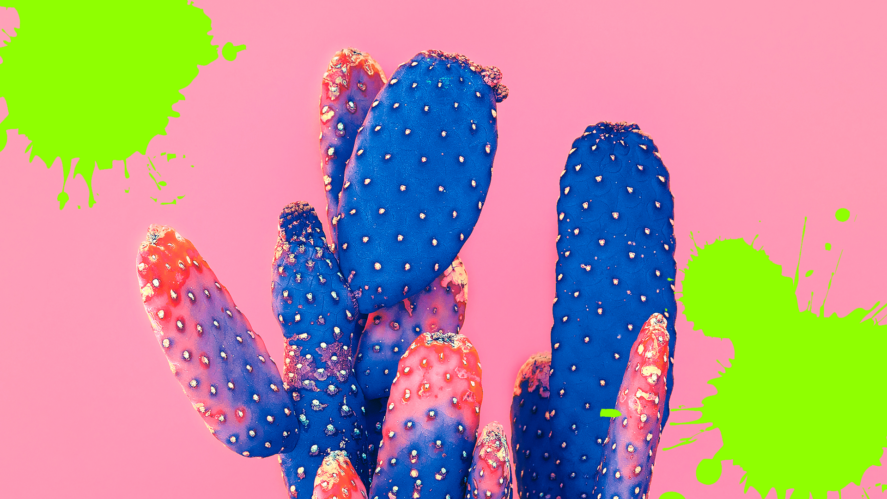 Pink and blue cactus with green splats