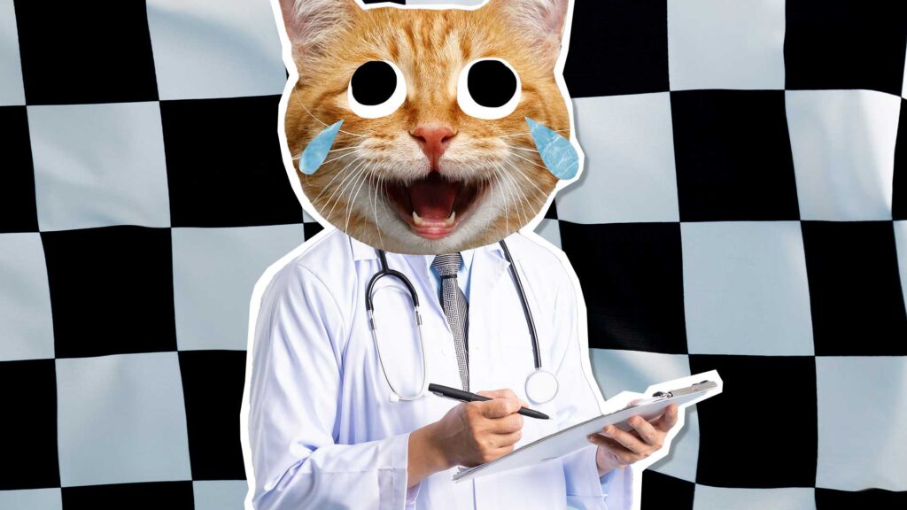 A cat doctor in front of a chequered flag