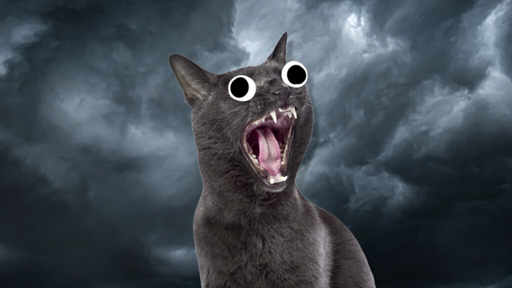 A cat reacting to thunder