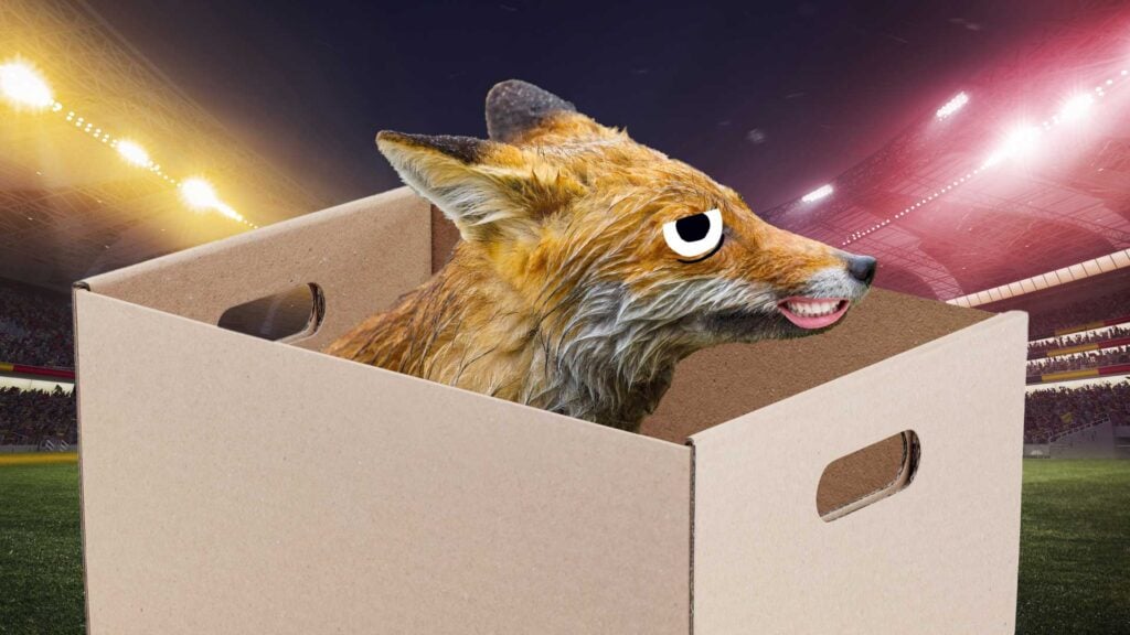 A fox in a box