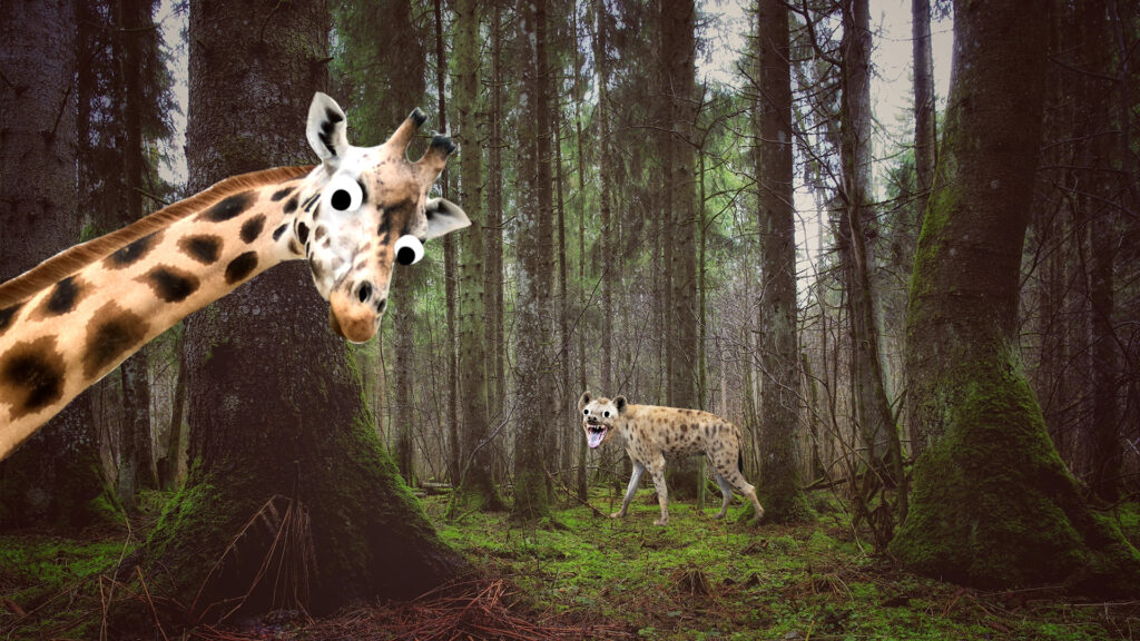 A forest with a hyena and a giraffe 