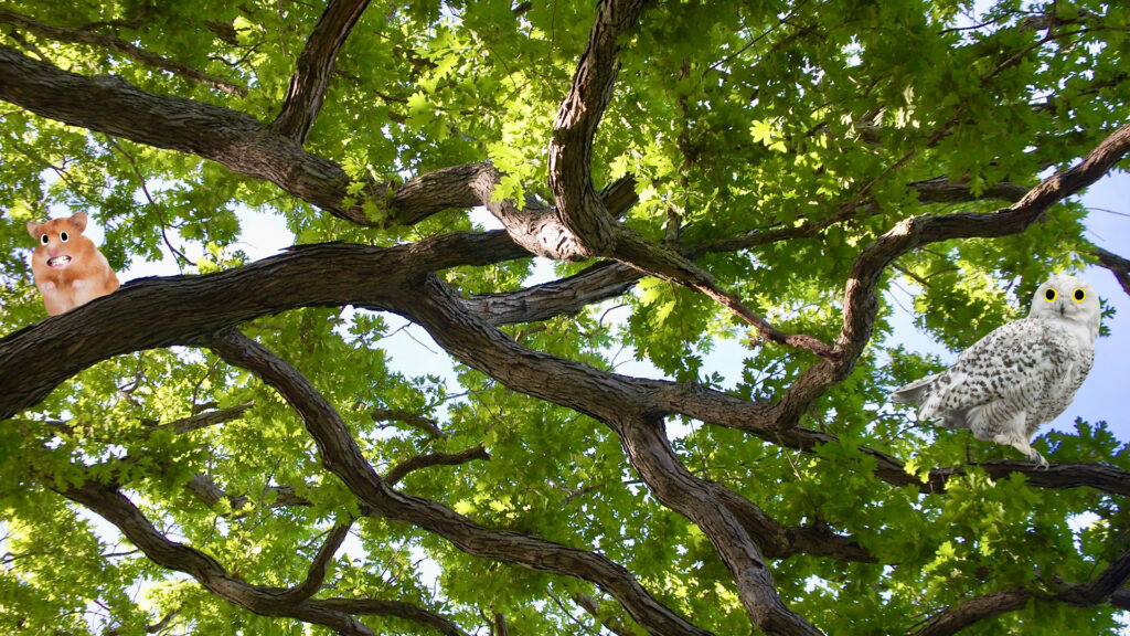 Oak trees and flowers 