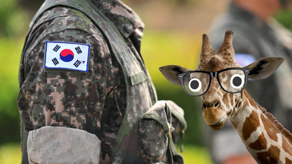 A Korean soldier 