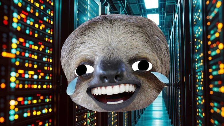 A laughing sloth next to a computer server