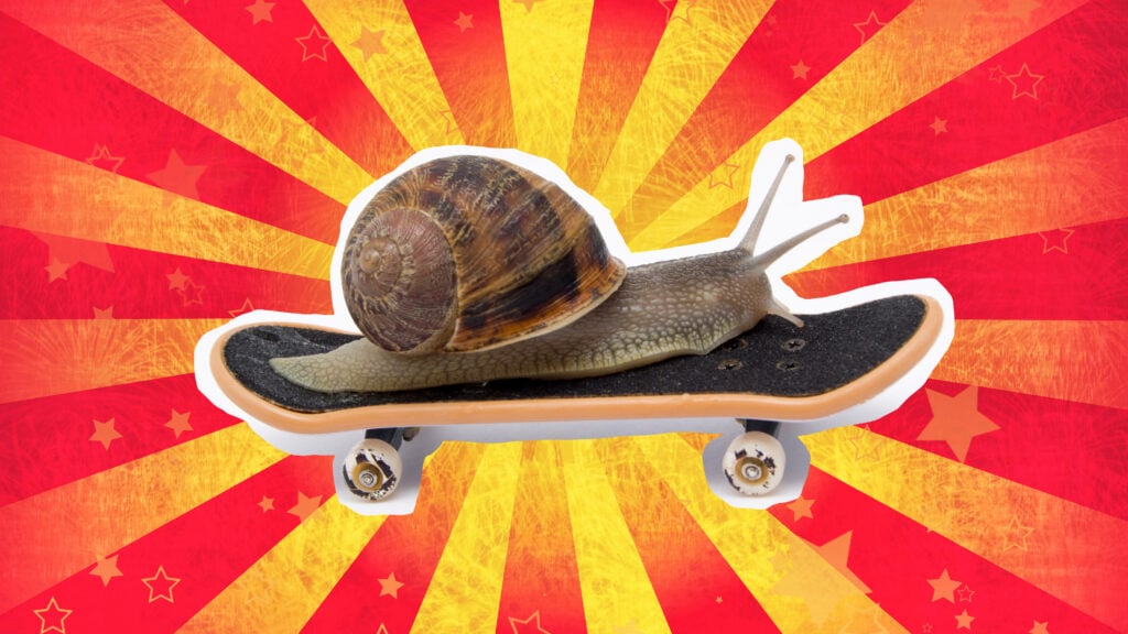 Snail on a skateboard