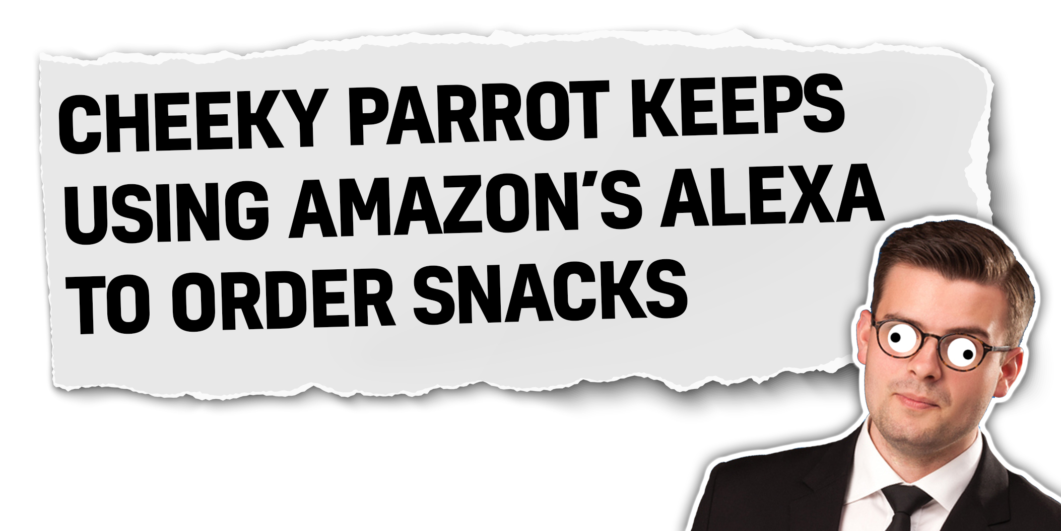 Cheeky parrot keeps using Amazon's Alexa to order snacks