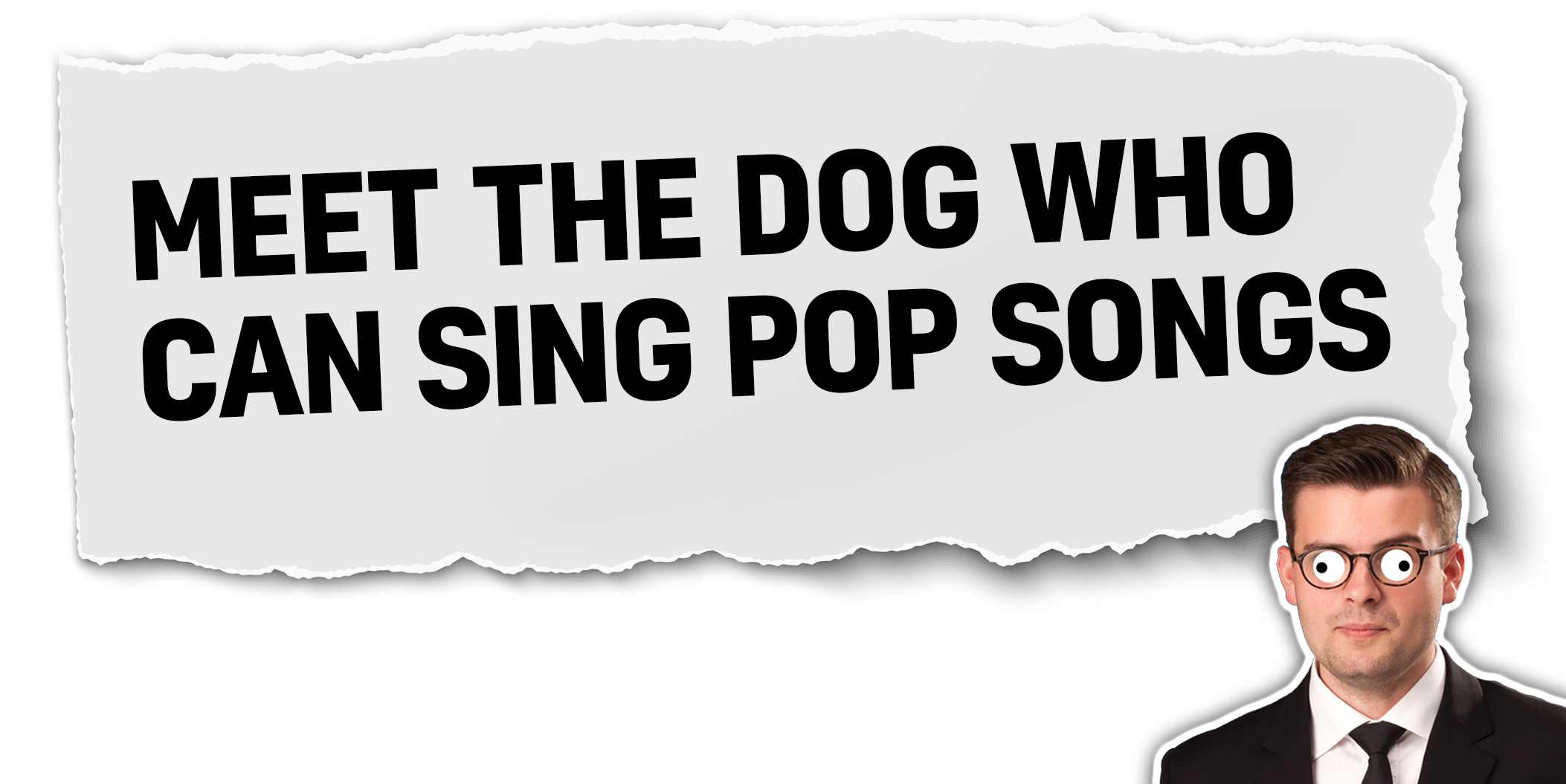 Meet the dog who can sing pop stars