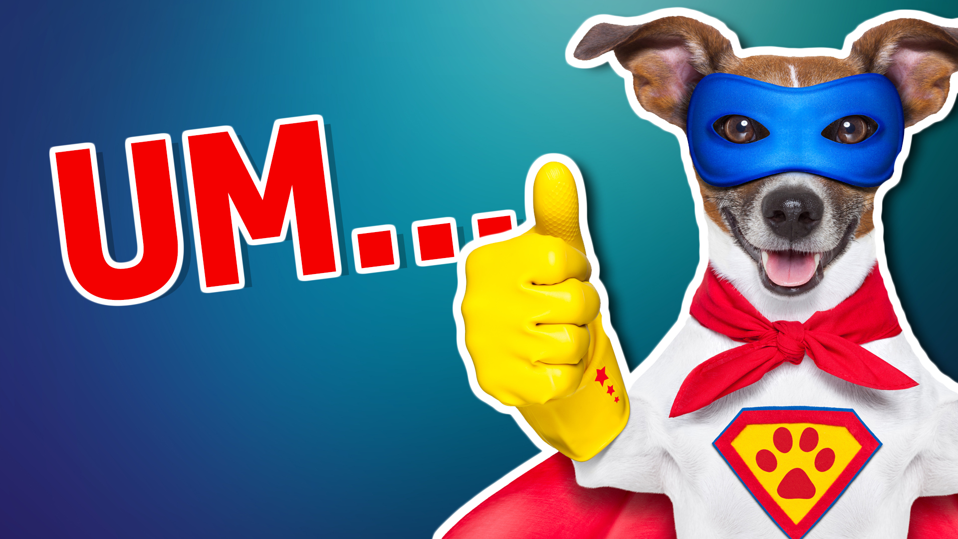 A dog dressed as a superhero