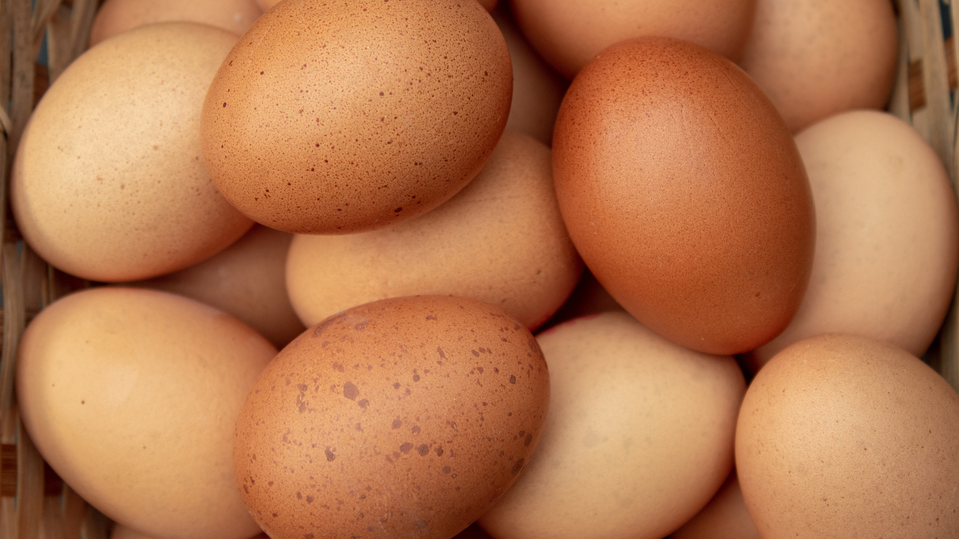 A pile of eggs