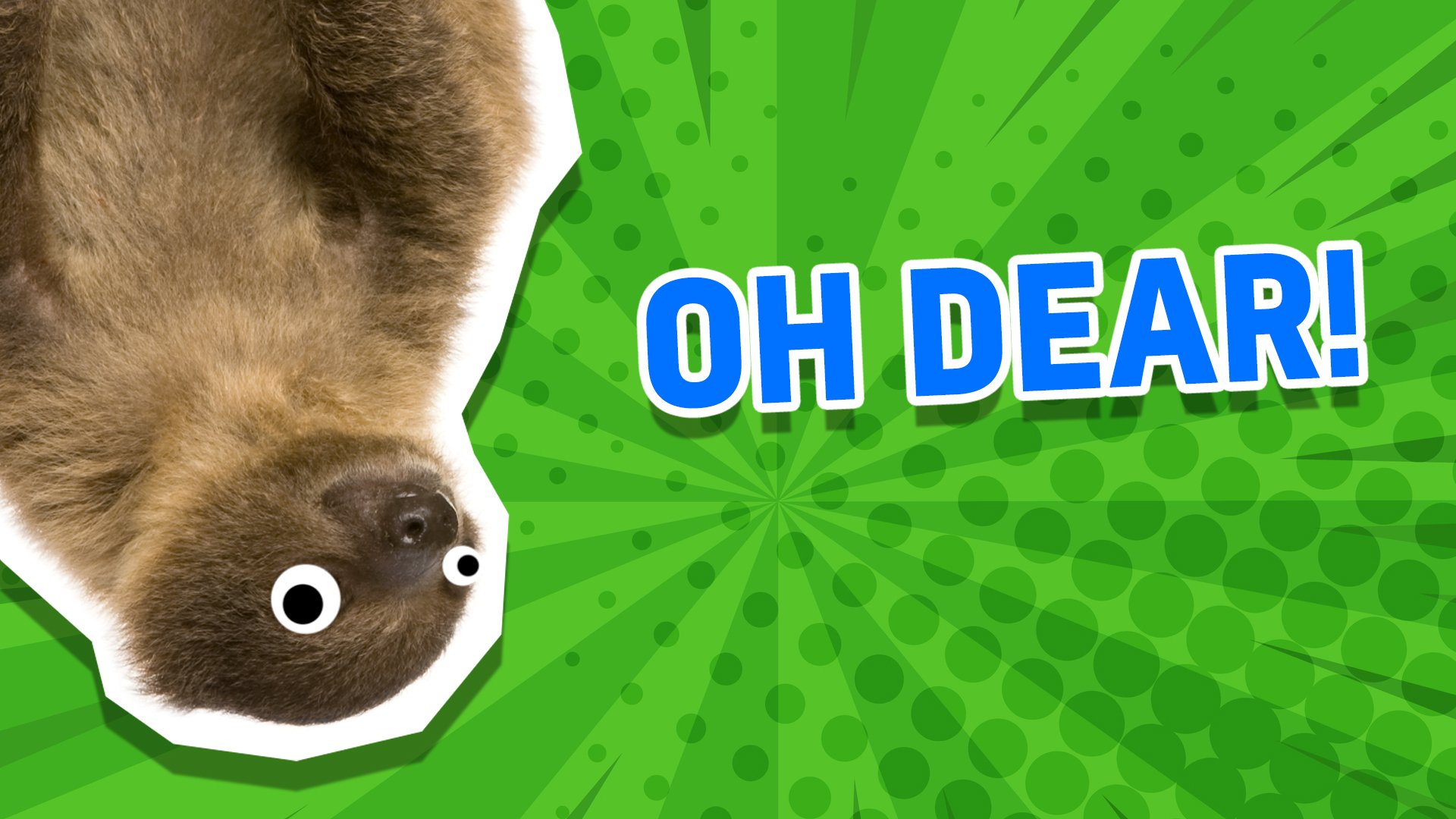 Trivia Quiz: How Much Do You Know About Sloths? | Sloths Quiz | Trivia  Quizzes on Beano.com