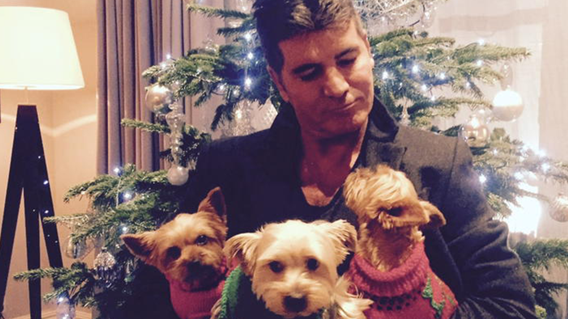 Simon Cowell and Dogs