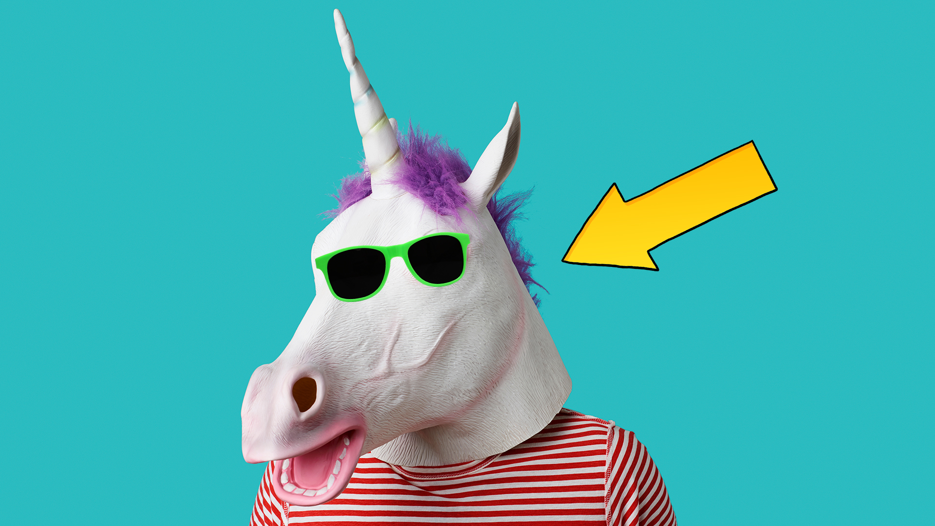 the-ultimate-unicorn-quiz-beano