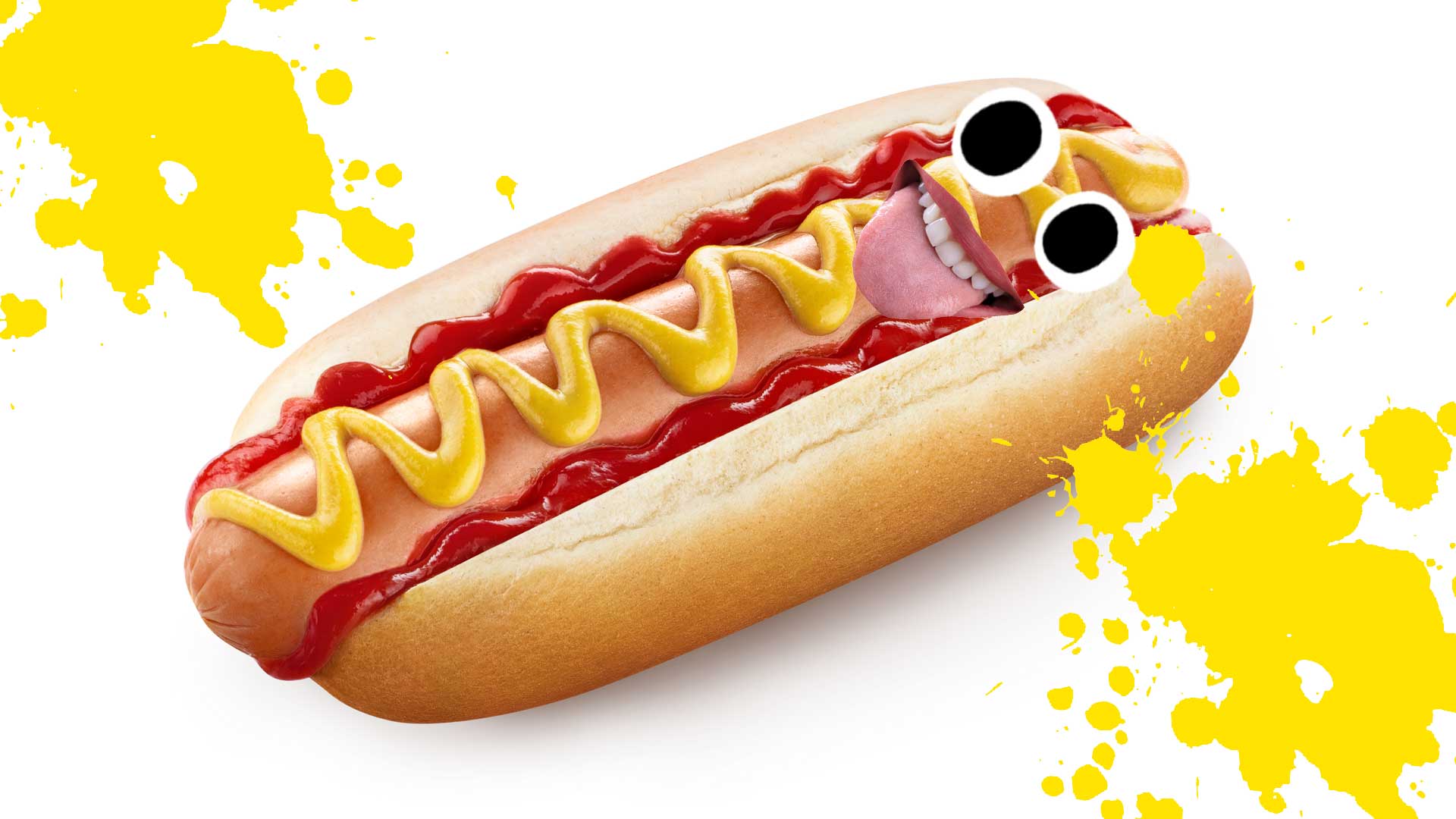 A hot dog