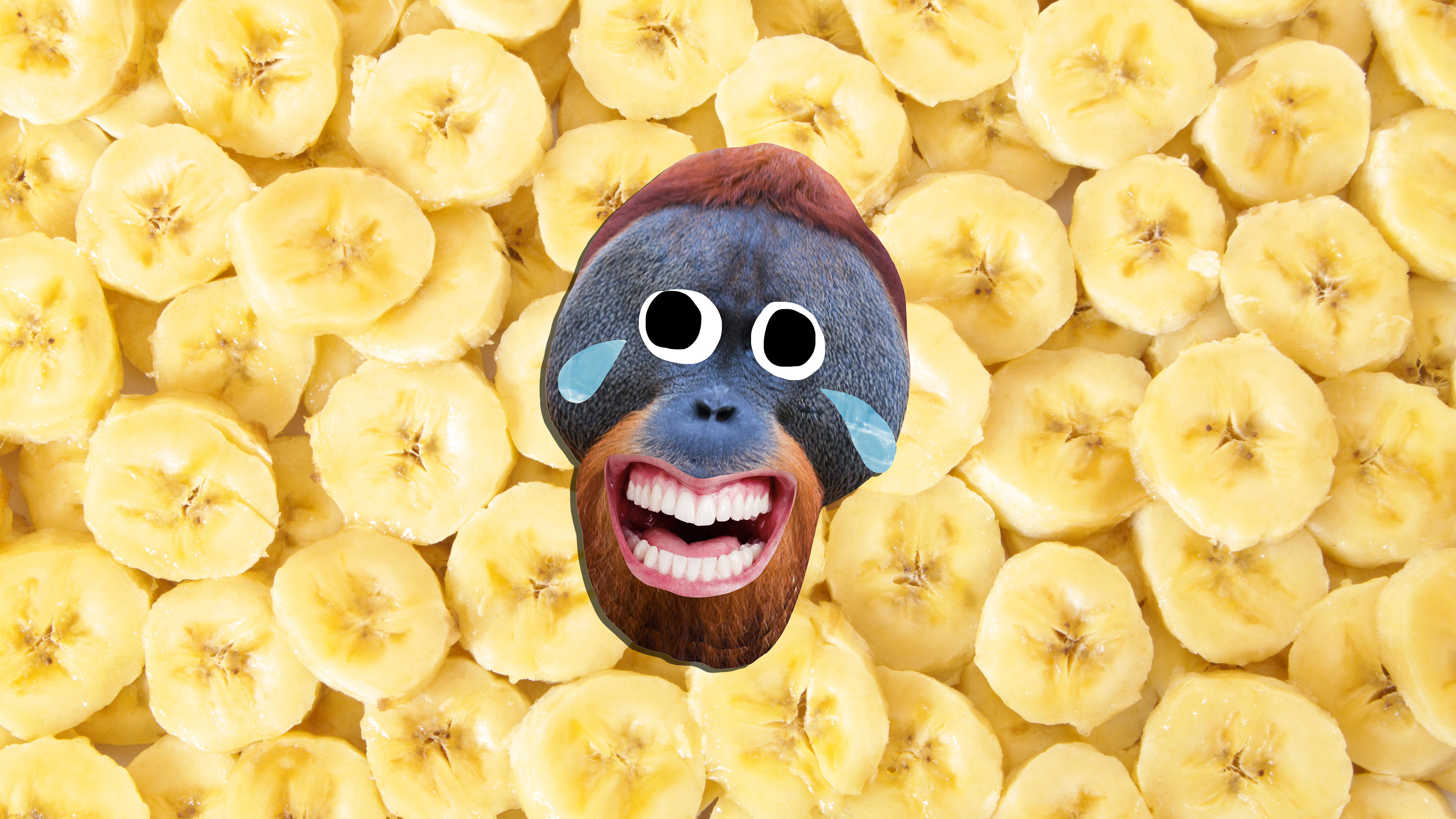 monkey banana meme