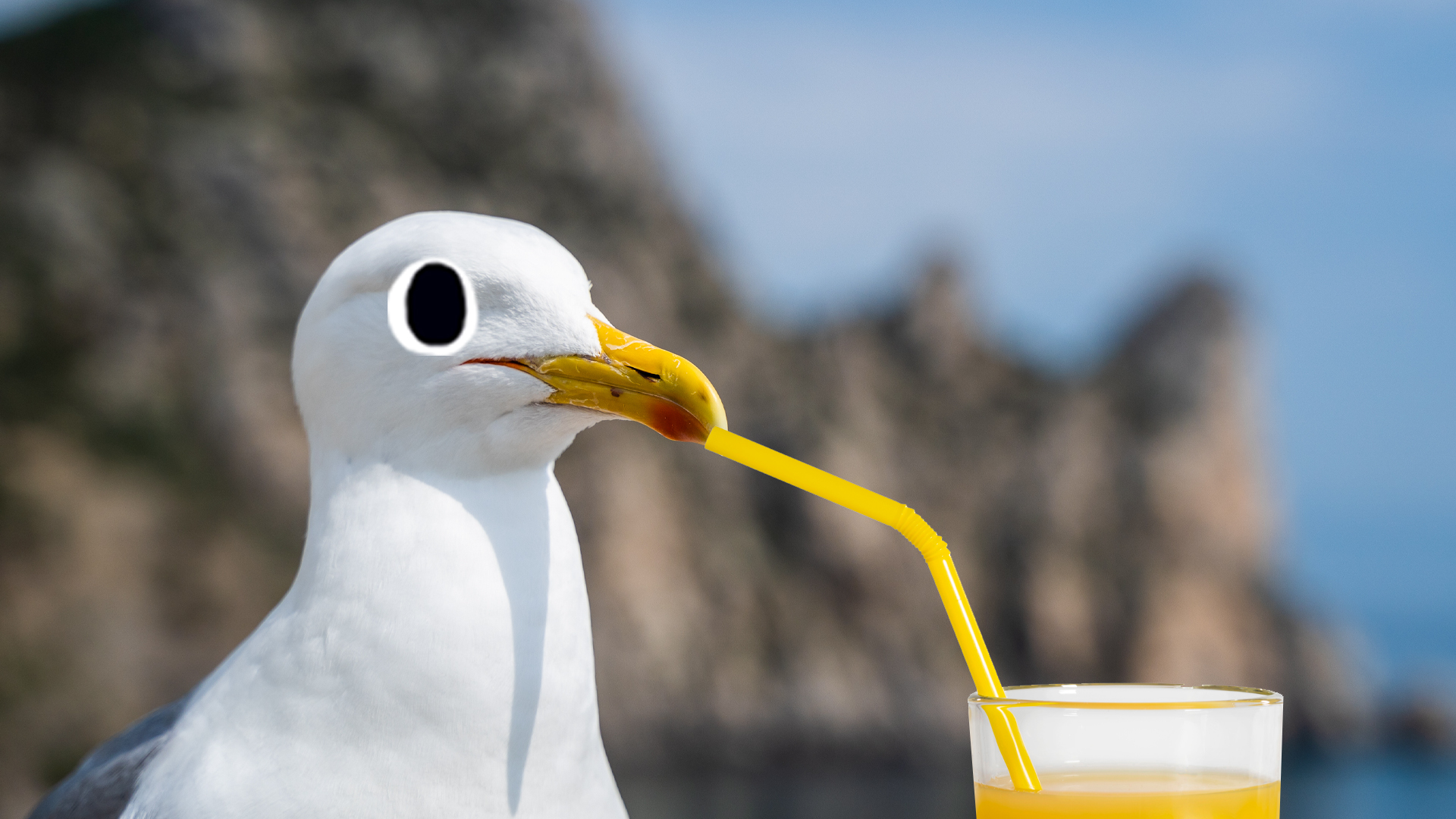 Seagull Jokes | Funny Seagull Jokes | Beano.com