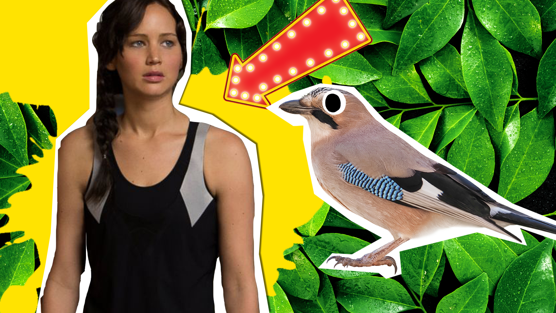 30 Facts About The Hunger Games That'll Make You Hungry For More - The Fact  Site