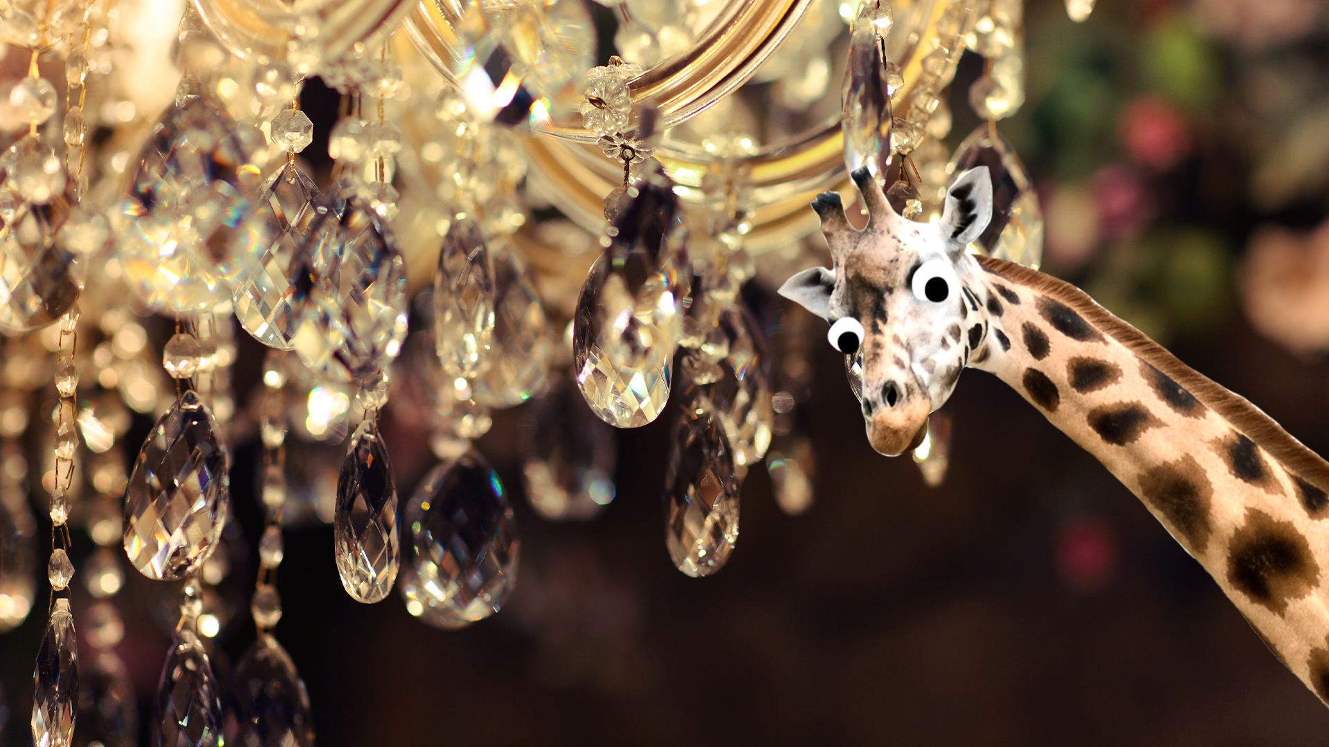 Chandelier and derpy giraffe